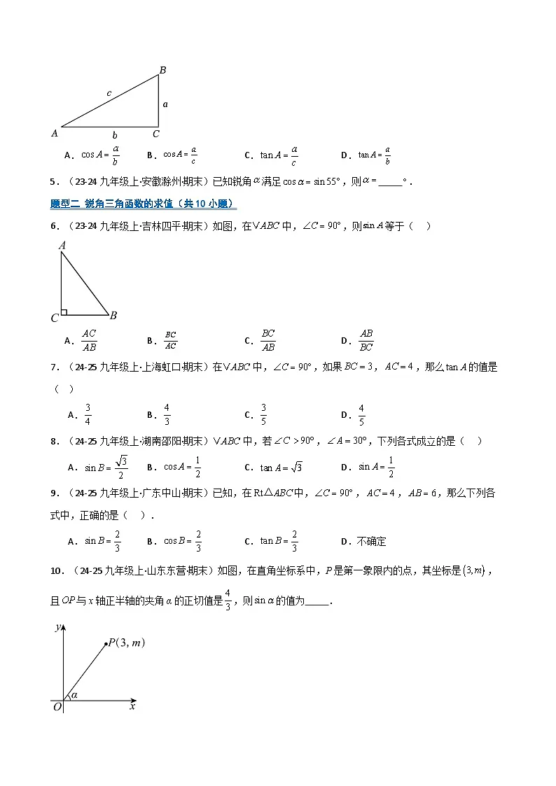 专题06 直角三角形的边角关系（期末复习专项训练）（原卷版）第2页