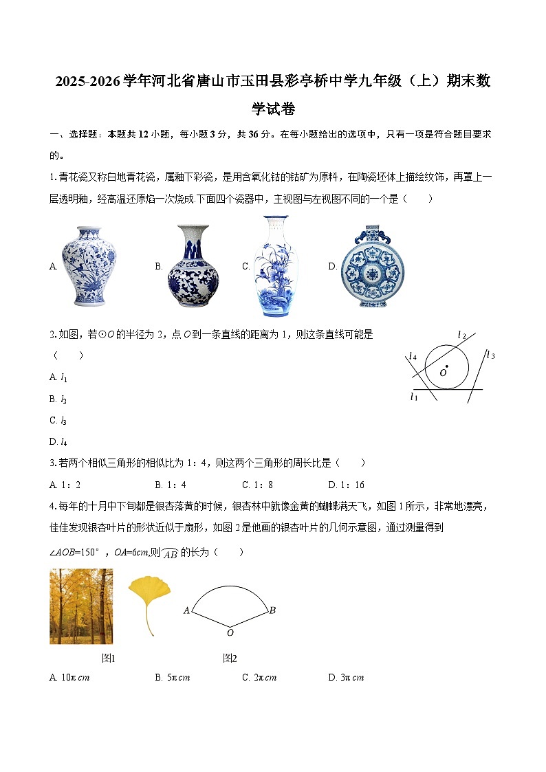 2025-2026学年河北省唐山市玉田县彩亭桥中学九年级（上）期末数学试卷-自定义类型第1页