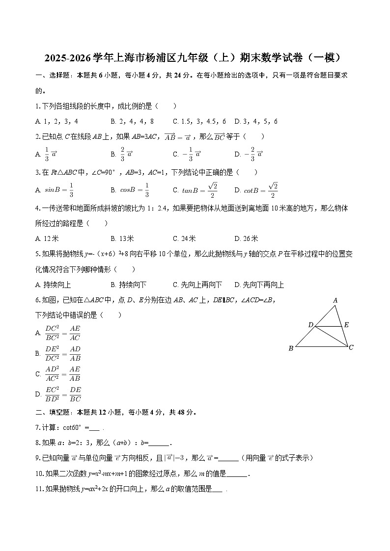 2025-2026学年上海市杨浦区九年级（上）期末数学试卷（一模）-自定义类型第1页