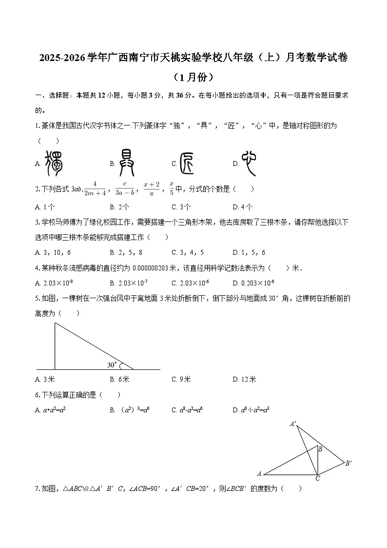 2025-2026学年广西南宁市天桃实验学校八年级（上）月考数学试卷（1月份）-自定义类型第1页
