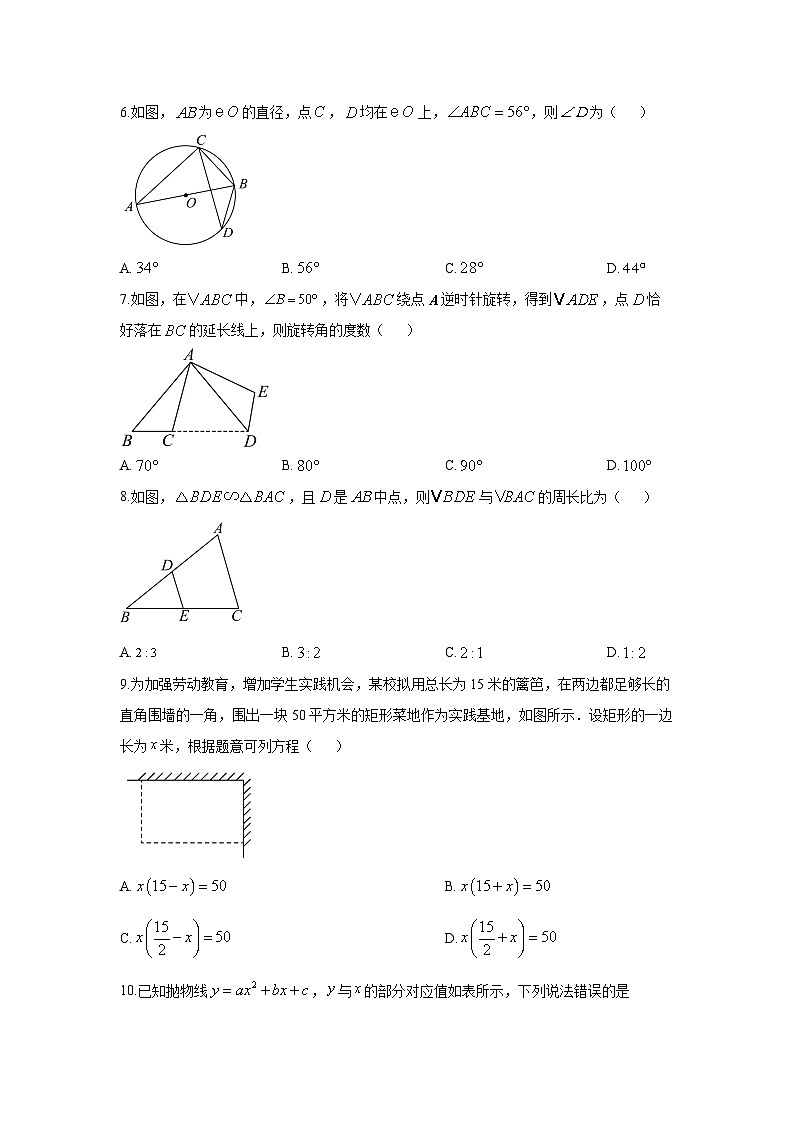 2025-2026学年辽宁省大连市普兰店区九年级上学期期末数学试卷（学生版）第2页