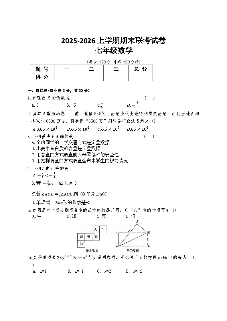 2025-2026上学期河南省平顶山市鲁山县第六教研区期末联考七年级数学试卷（含答案）第1页