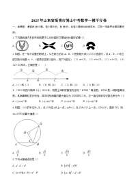 2025年山东省淄博市博山中考数学一模平行卷-自定义类型