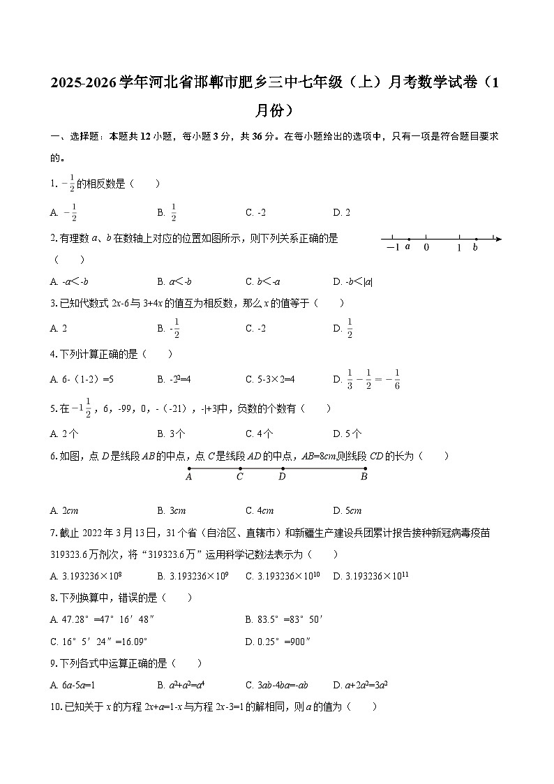 2025-2026学年河北省邯郸市肥乡三中七年级（上）月考数学试卷（1月份）-自定义类型第1页