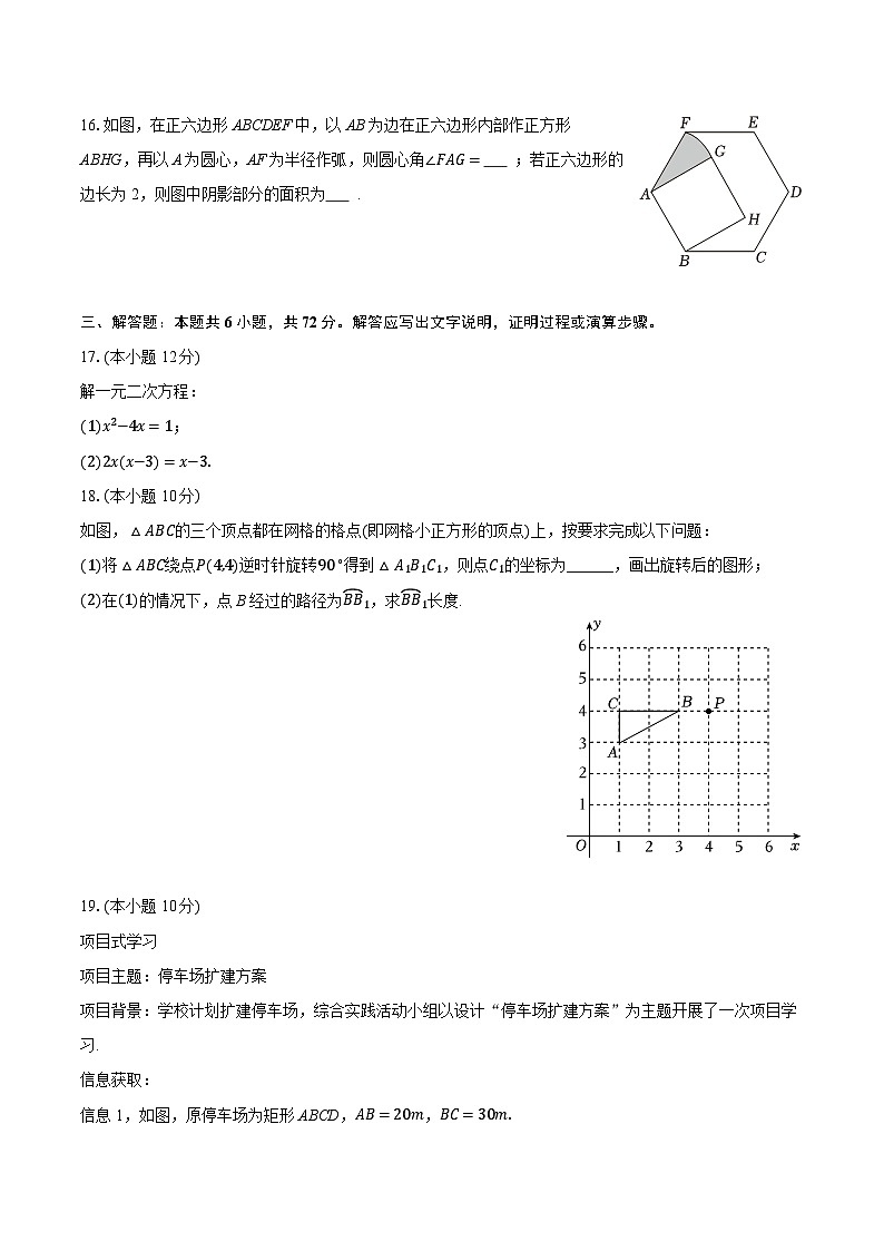 2025-2026学年海南省乐东县九年级（上）期末数学试卷（含答案+解析）第3页