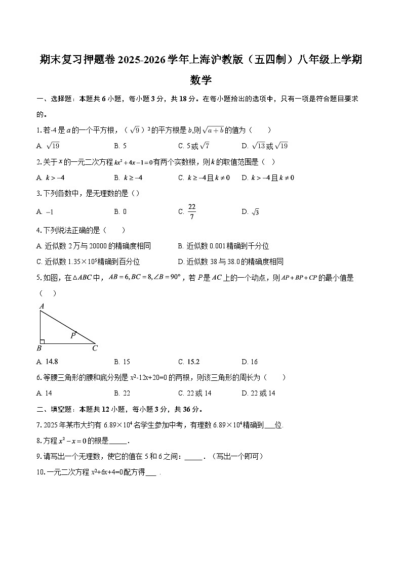 期末复习押题卷2025-2026学年上海沪教版（五四制）八年级上学期数学-自定义类型第1页
