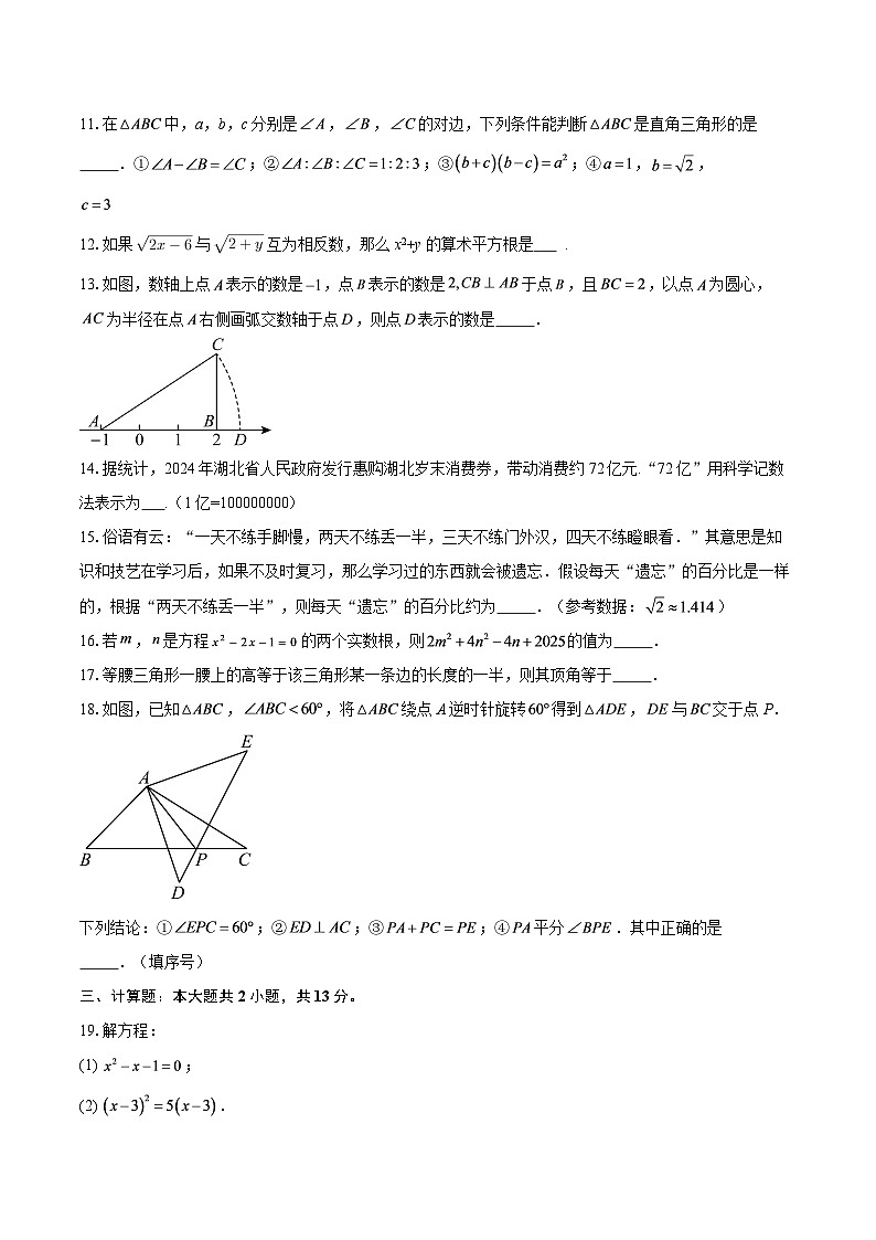 期末复习押题卷2025-2026学年上海沪教版（五四制）八年级上学期数学-自定义类型第2页