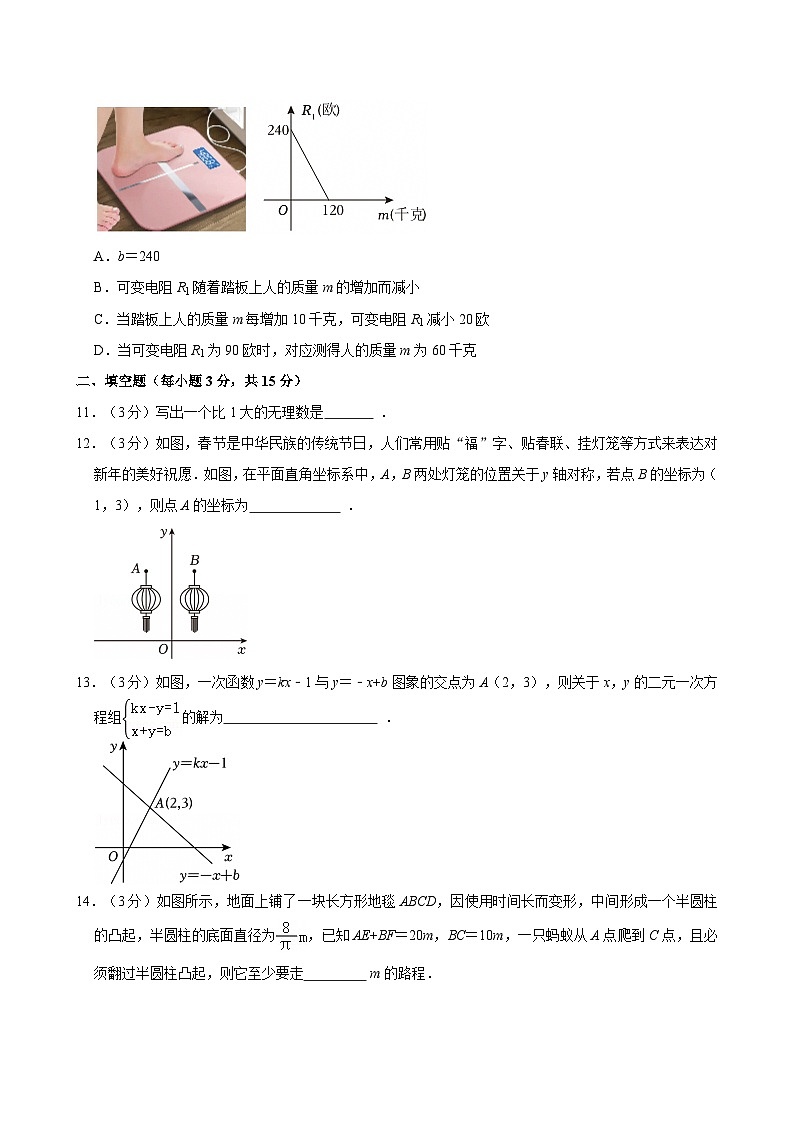 2024-2025学年河南省郑州市中原区八年级（上）期末数学试卷含答案第3页