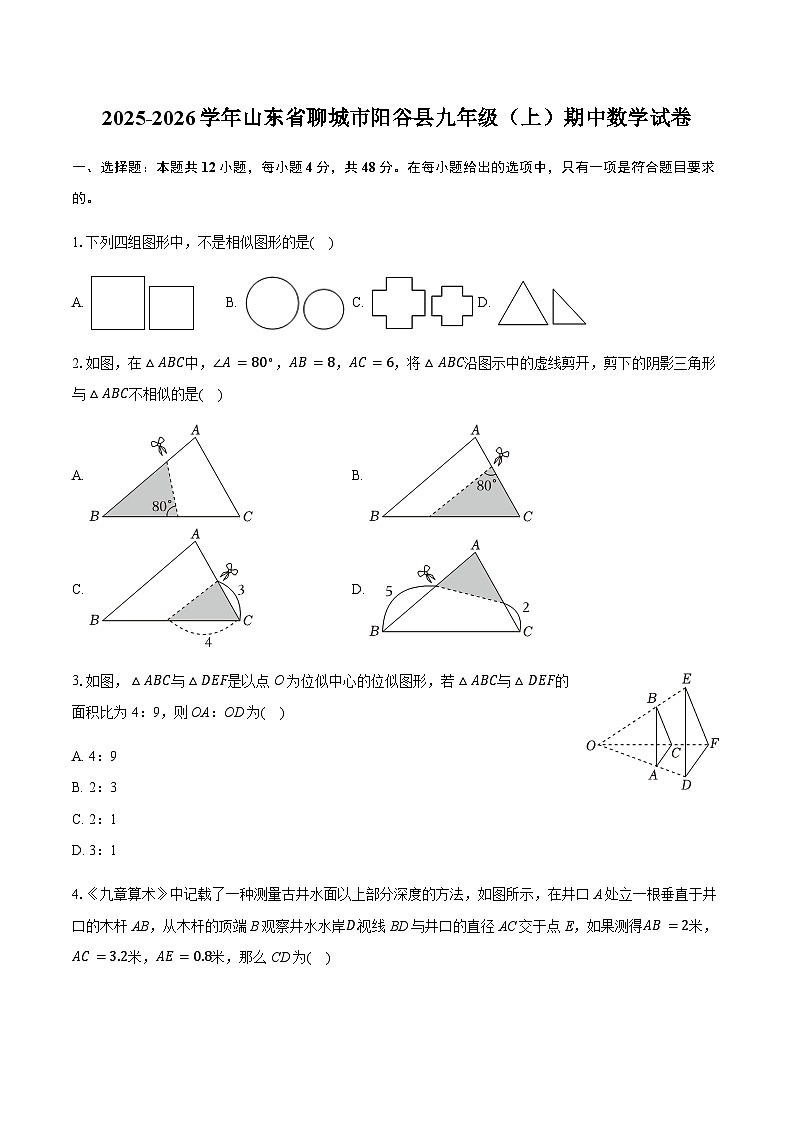 山东省聊城市阳谷县2025-2026学年九年级上学期期中数学试卷(含答案)第1页