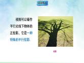 3.2.1.2由立体图形到视图-课件-数学华东师大版（2024）七年级上册