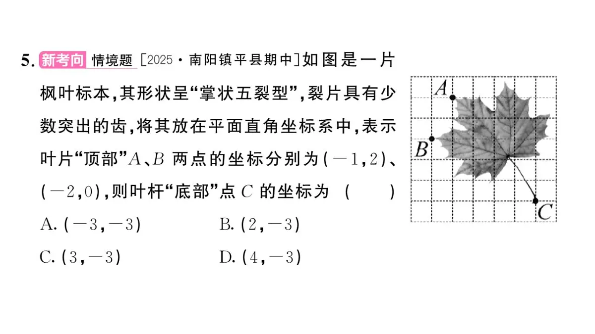 17844129第6页