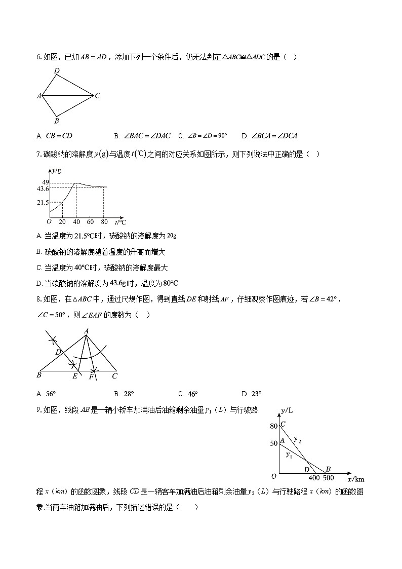 四川省达州市通川区北外初级中学校2024-2025学年上学期八年级数学1月月考试卷-自定义类型第2页