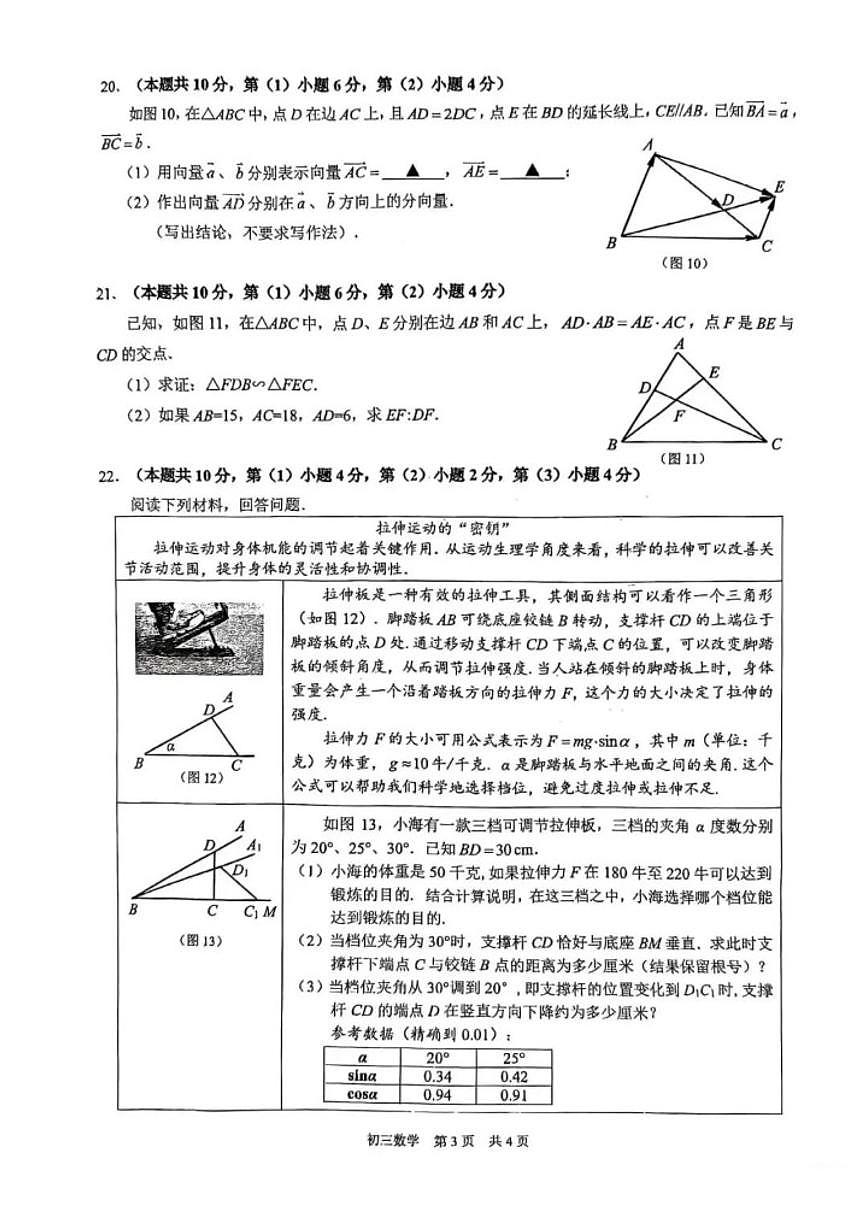 2025-2026学年上海市浦东新区上学期初三一模数学试卷（含答案）第3页