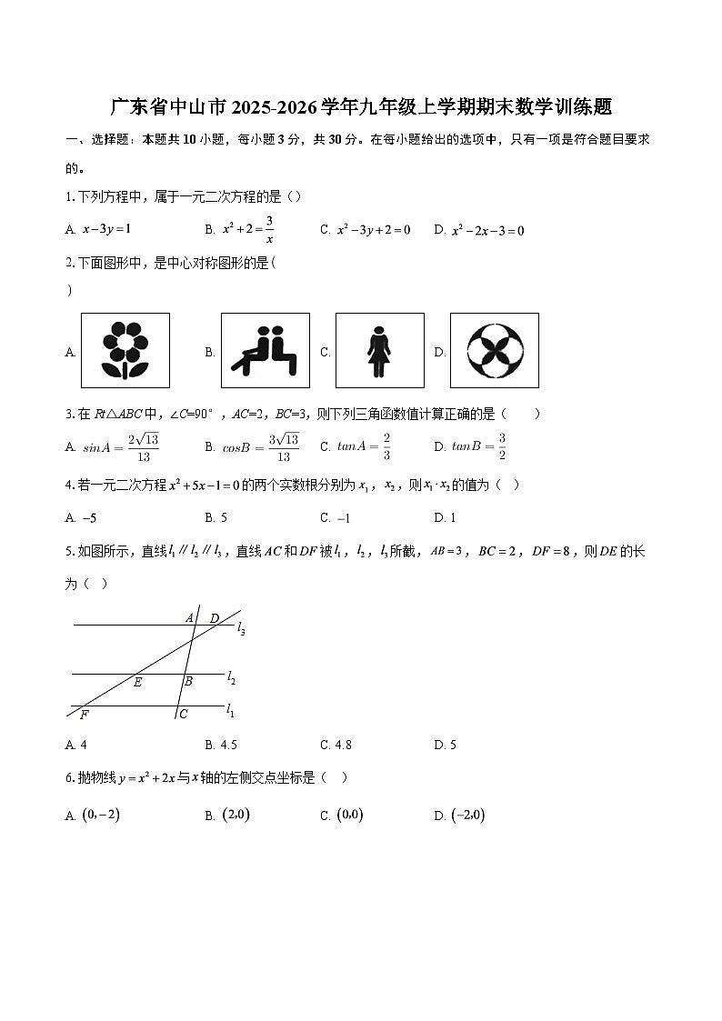 广东省中山市2025-2026学年九年级上学期期末数学训练题-自定义类型第1页