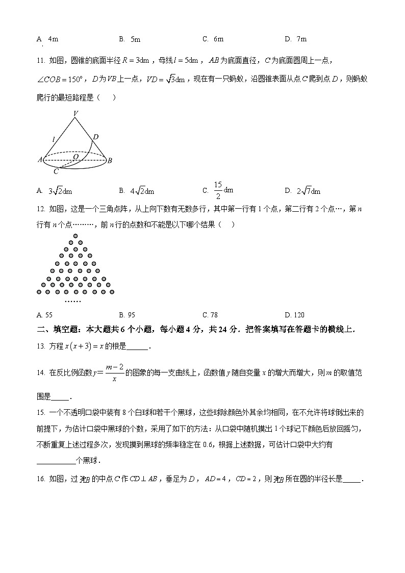 四川省绵阳市游仙区2025-2026学年九年级上学期1月期末数学试题（原卷版+解析版）第3页