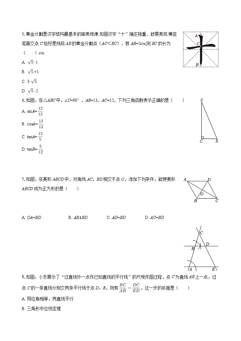 2025-2026学年广东省揭阳市普宁市九年级（上）期末数学试卷-自定义类型第2页