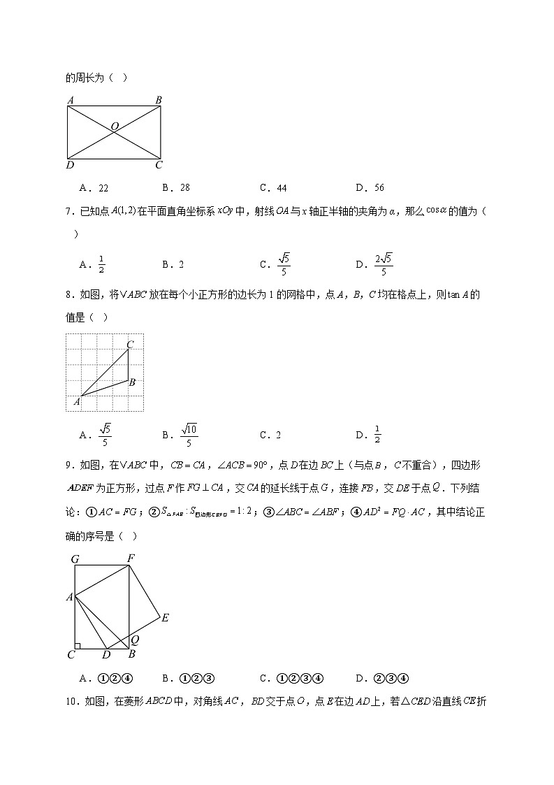 安徽省宿州市第十一中学教育集团2025~2026学年九年级上册12月月考数学试题【附解析】第2页