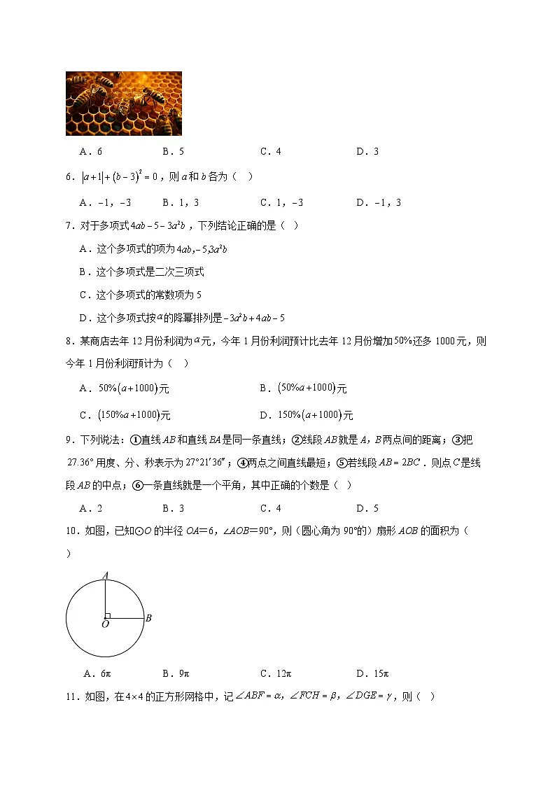 河北省邯郸市成安县2025~2026学年七年级上册12月联考数学试题【附解析】第2页