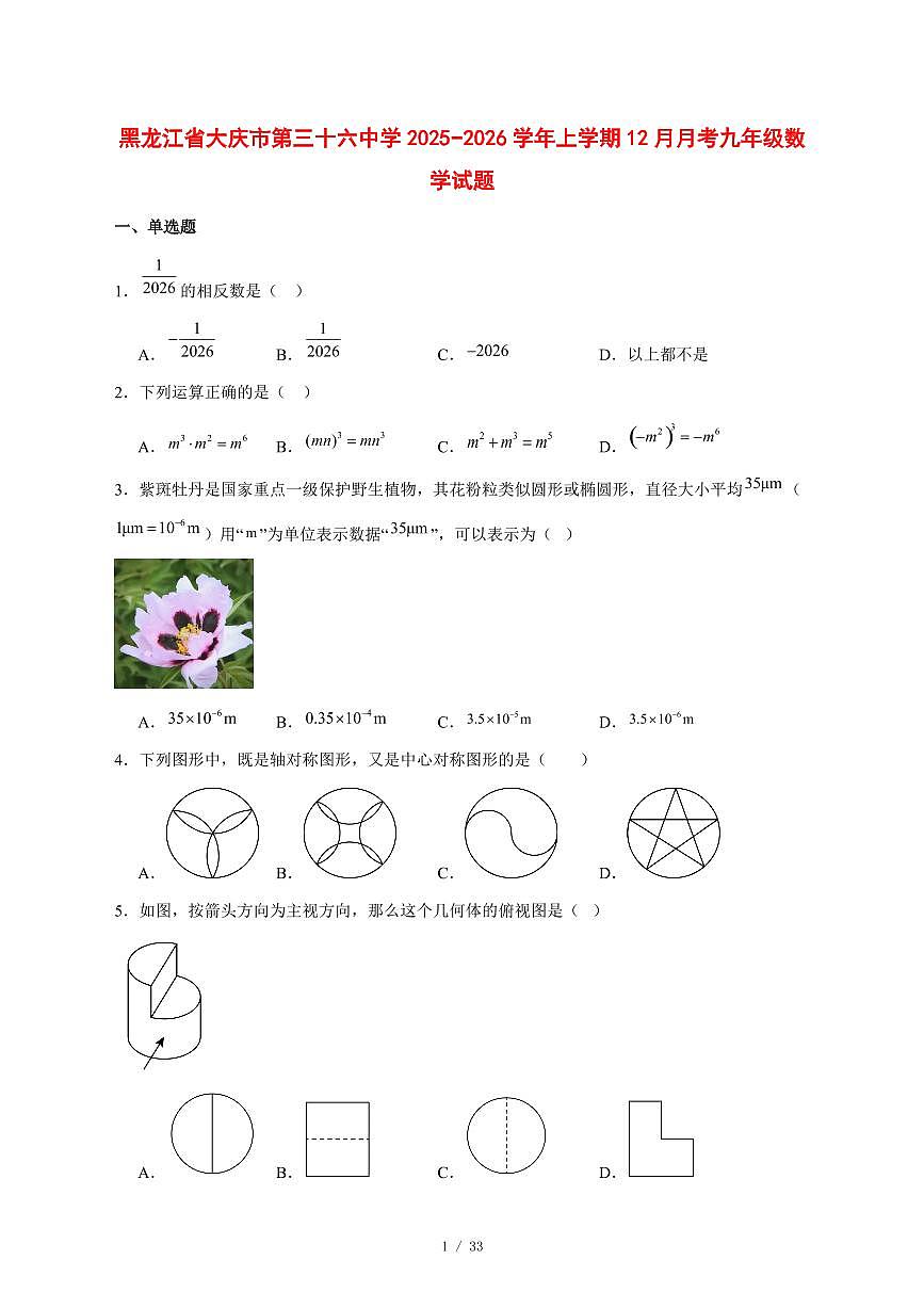 2025-2026学年黑龙江省大庆市第三十六中学上学期12月月考九年级数学试卷 [附答案]第1页