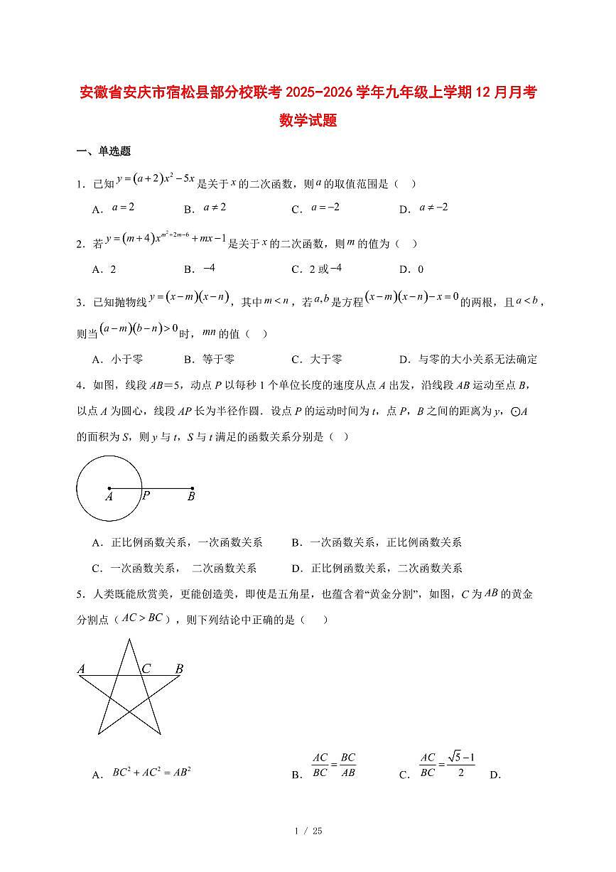 2025-2026学年安徽省安庆市宿松县部分校联考九年级上学期12月月考数学试卷 [附答案]第1页