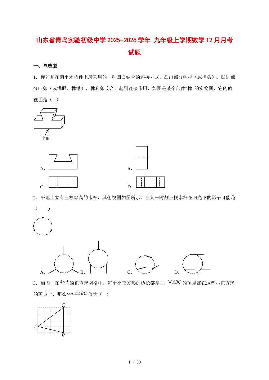 2025-2026学年山东省青岛实验初级中学九年级上学期数学12月月考试卷 [附答案]第1页