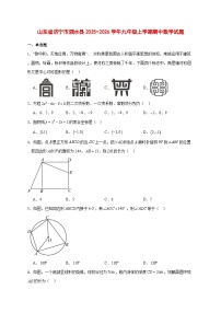2025-2026学年山东省济宁市泗水县九年级上册期中数学试卷 [附答案]