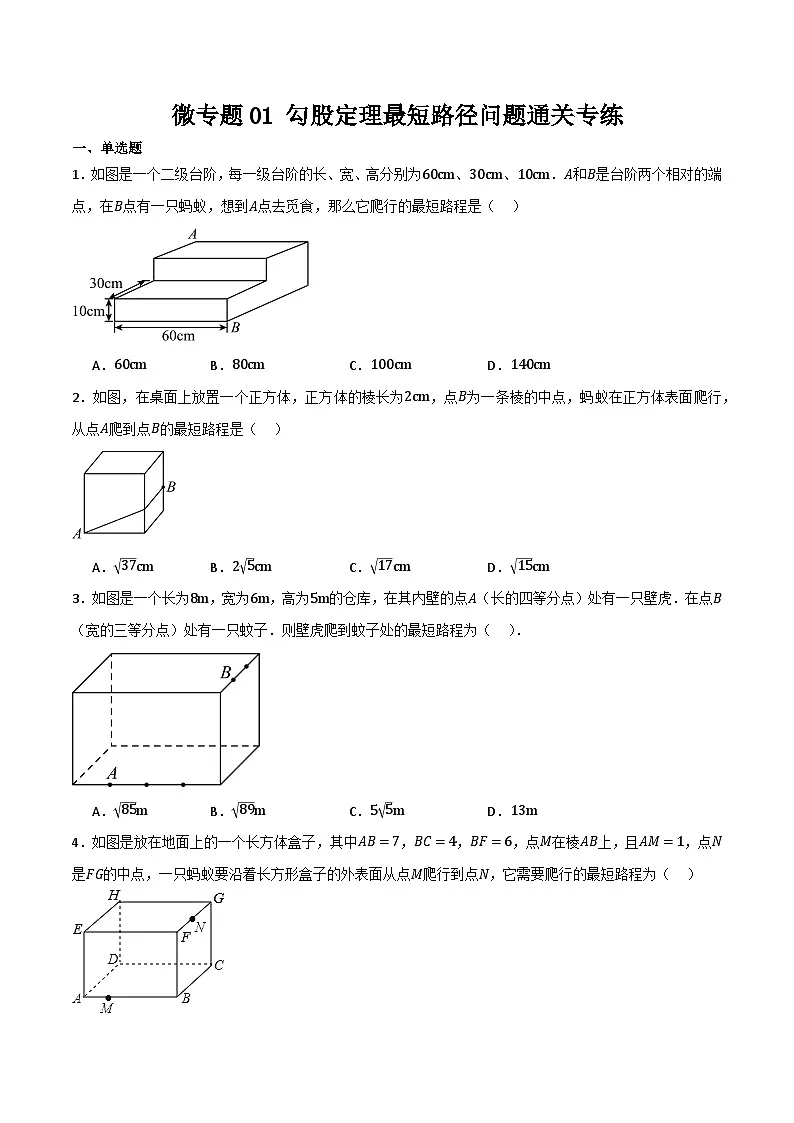 微专题01 勾股定理中最短路径问题通关专练(原卷版）第1页