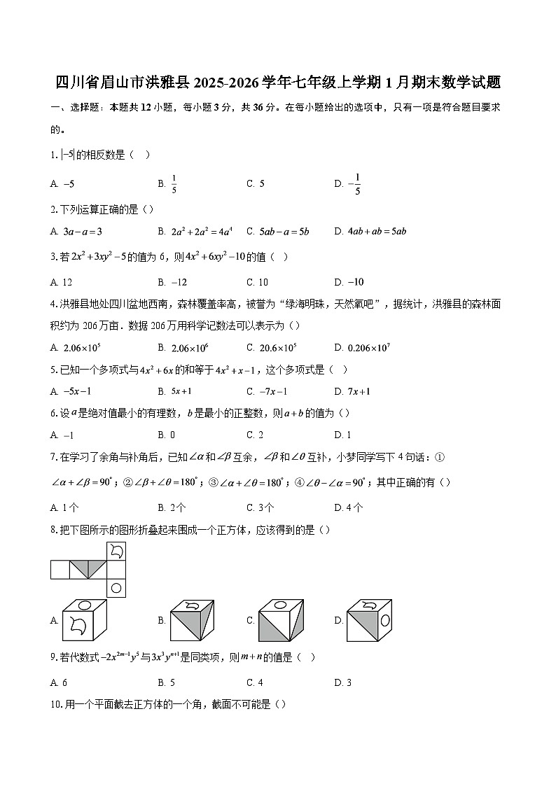 四川省眉山市洪雅县2025-2026学年七年级上学期1月期末数学试题-自定义类型第1页