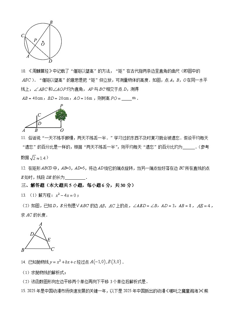 江西省赣州市经开区2025-2026学年第一学期九年级数学期末测试卷（原卷版+解析版）第3页