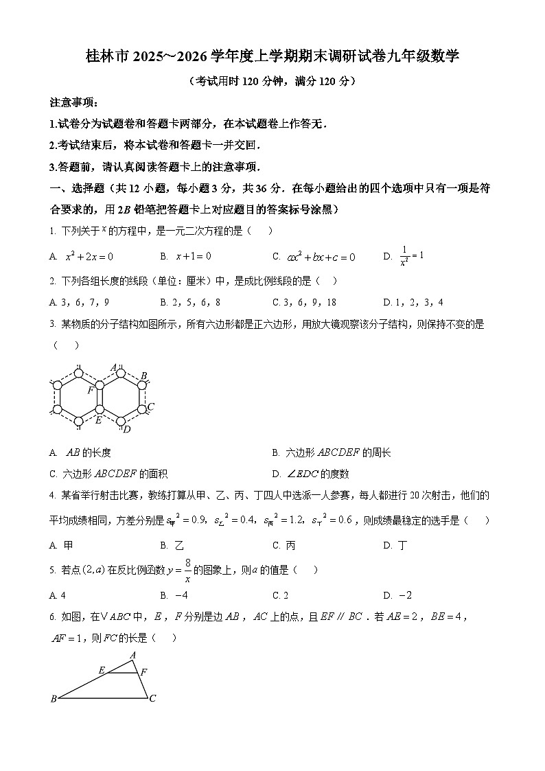 广西桂林市2025--2026学年上学期九年级期末数学试题（原卷版+解析版）第1页