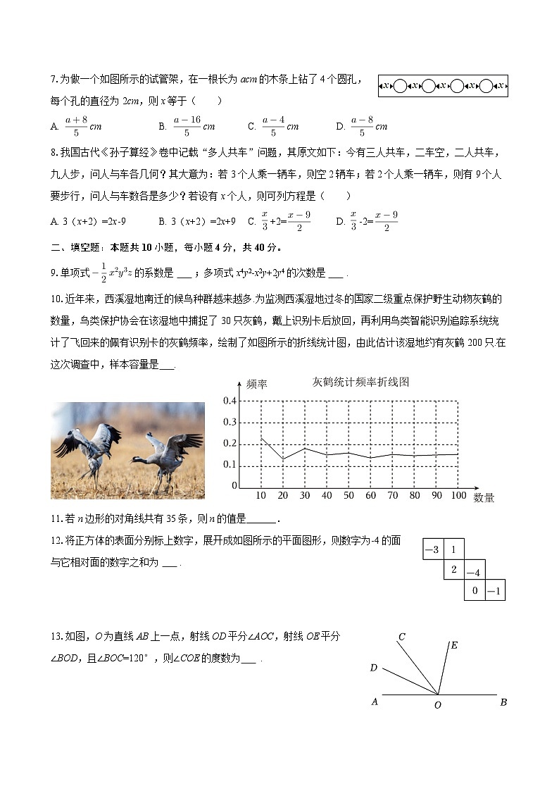 2025-2026学年四川省成都市龙泉驿区师上学校七年级（上）期末数学模拟试卷-自定义类型第2页