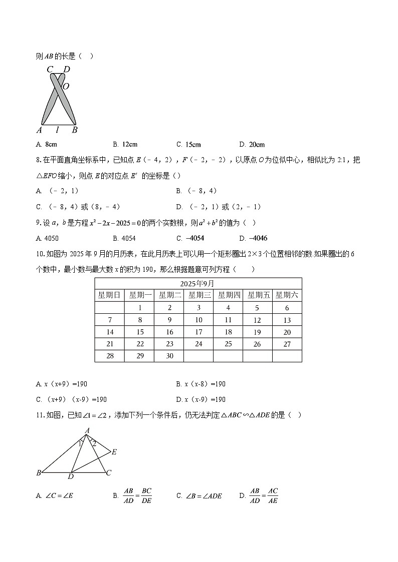 四川省遂宁市2025-2026学年九年级上学期一模数学试题-自定义类型第2页