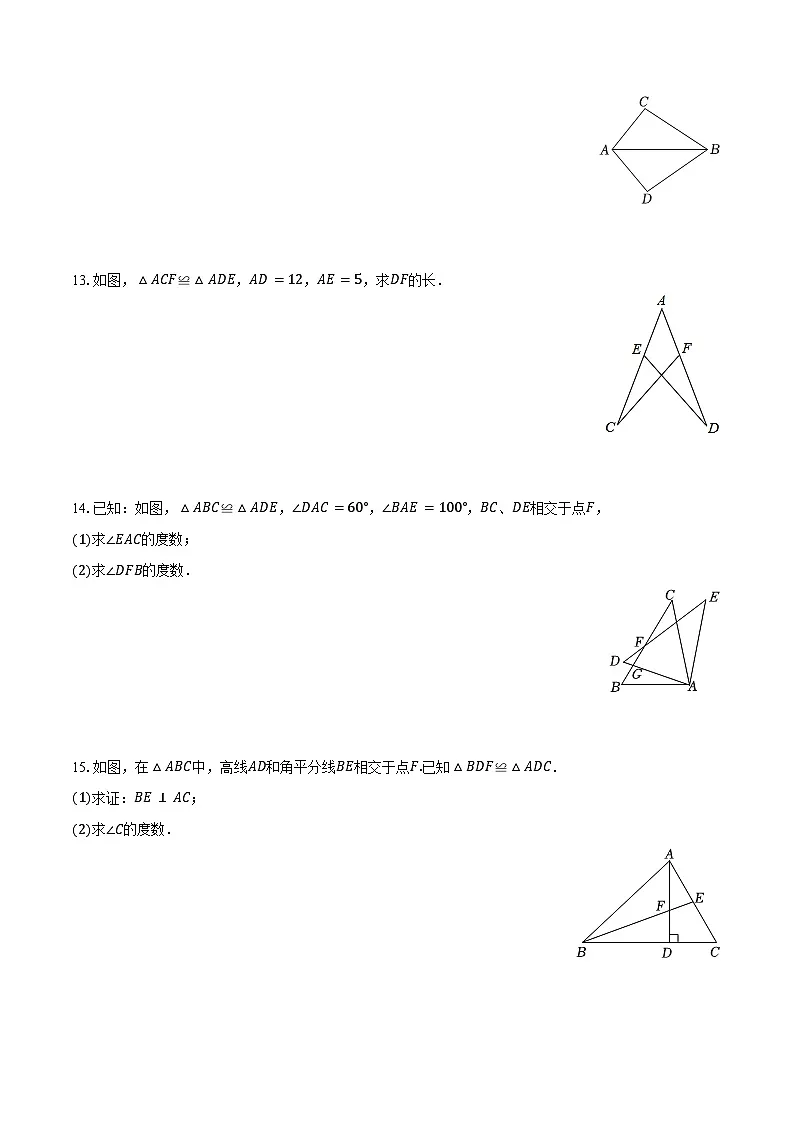 4.2 全等三角形-同步训练2024-2025学年北师大版七年级数学下册（含答案+解析）第3页