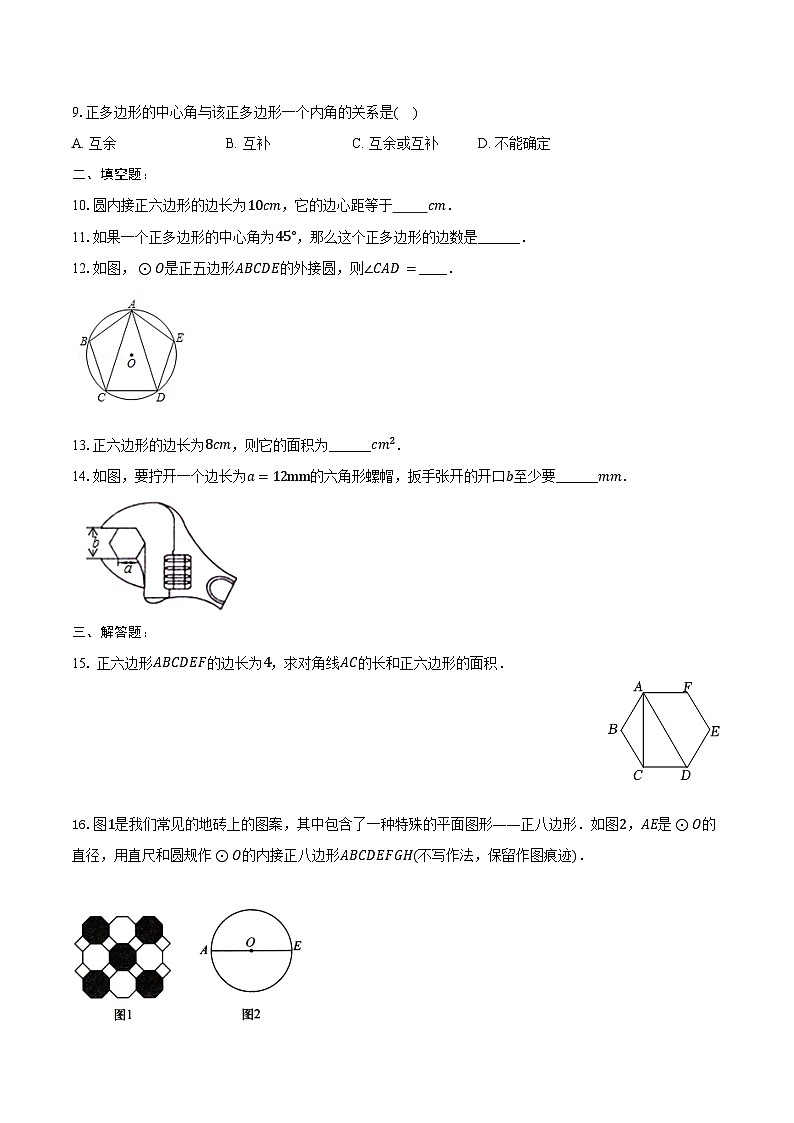 24.3 正多边形和圆   随堂练习   2024--2025学年人教版九年级数学上册（含答案+解析）第2页