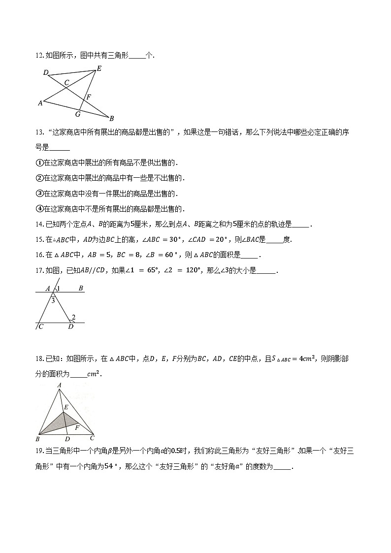 2025年上海市中考数学一轮复习  练习题 专题13：三角形中的边角关系、命题与证明（含答案+解析）第3页