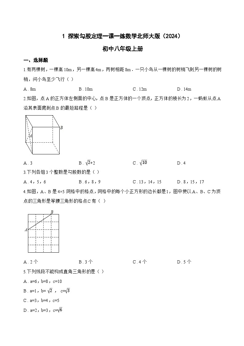 1 探索勾股定理一课一练数学北师大版（2024）初中八年级上册第1页