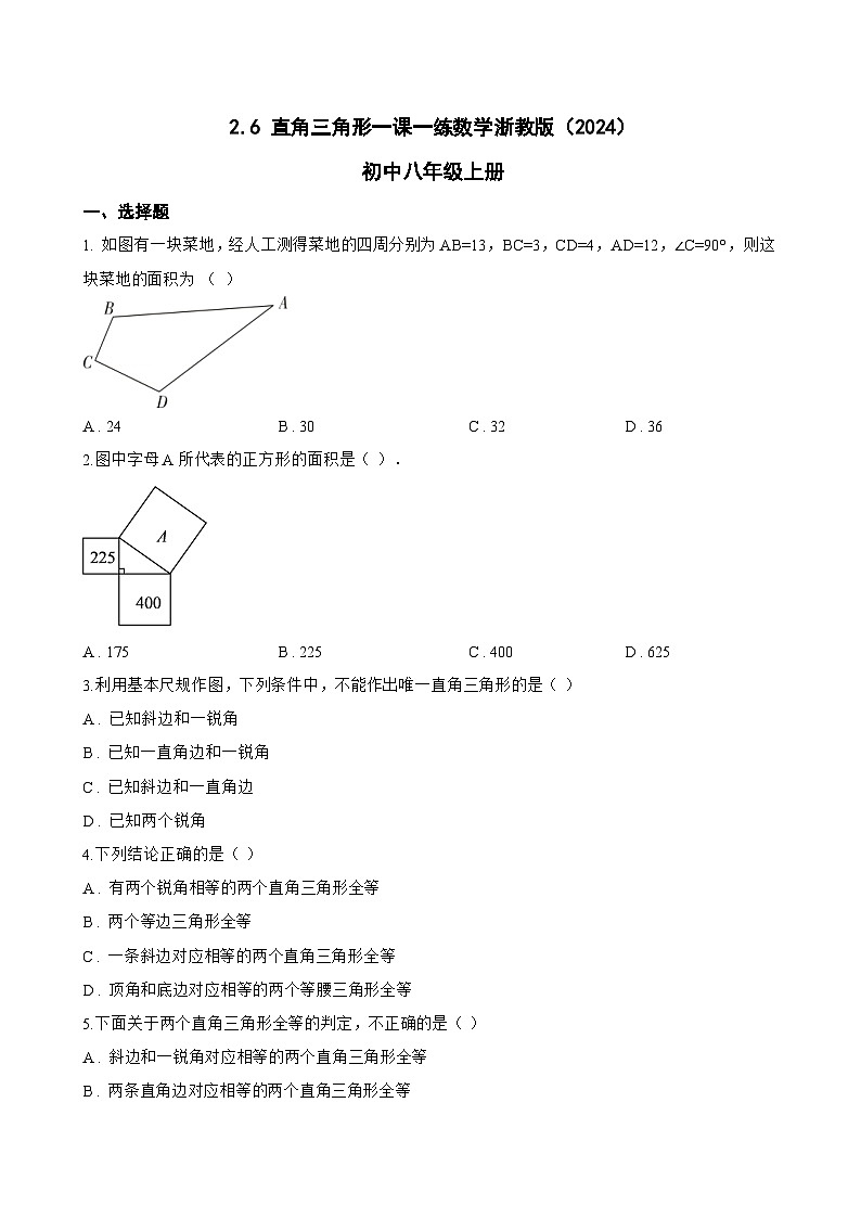 2.6 直角三角形一课一练数学浙教版（2024）初中八年级上册第1页