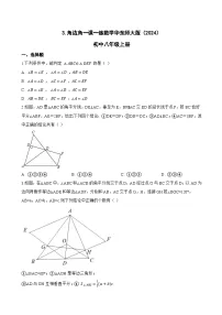 初中数学华东师大版(2024)八年级上册(2024)3. 角边角课时作业