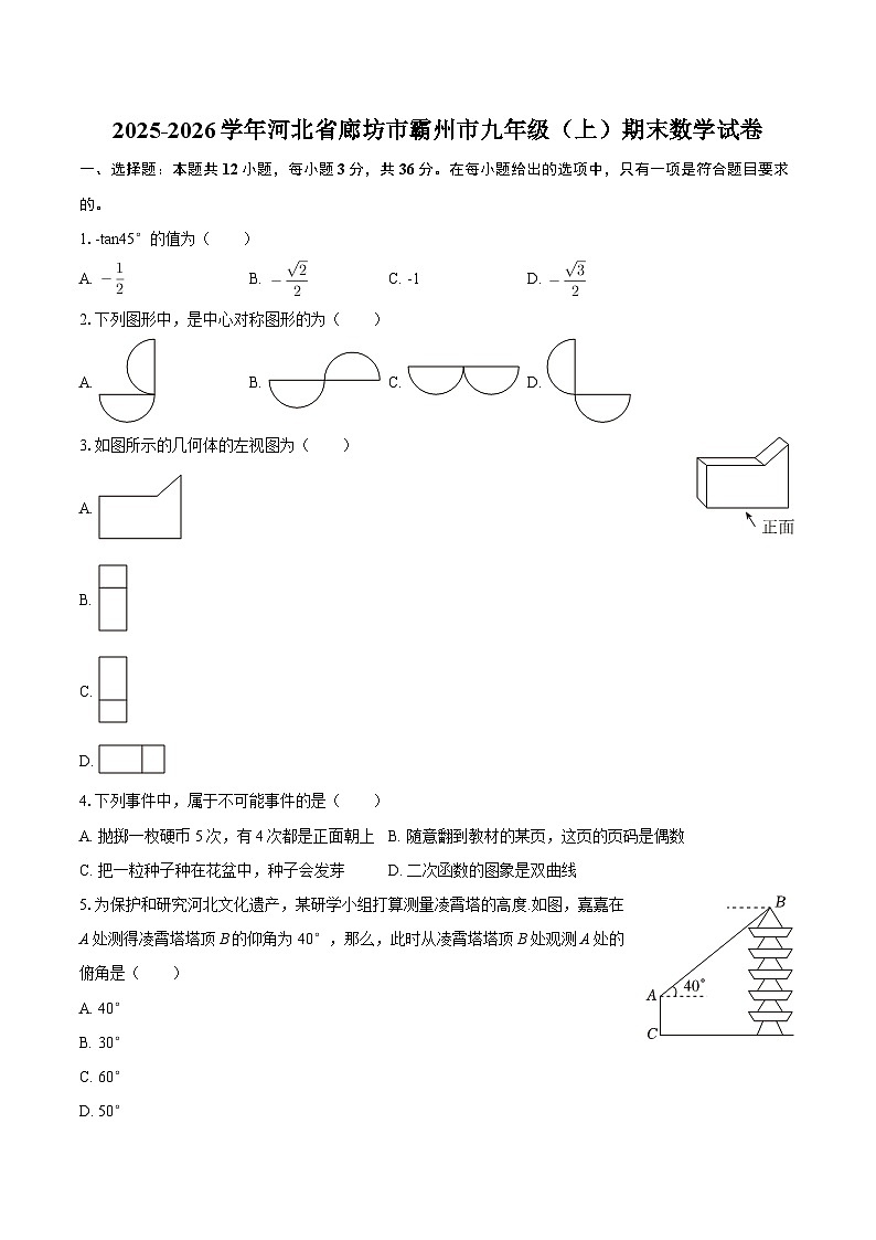 2025-2026学年河北省廊坊市霸州市九年级（上）期末数学试卷-自定义类型第1页