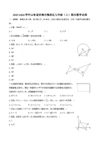 2025-2026学年山东省济南市槐荫区九年级（上）期末数学试卷（含答案+解析）