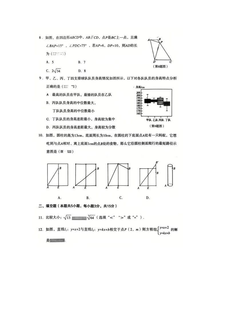 辽宁省沈阳市沈河区2025-2026学年第一学期八年级数学期末考试试卷无答案第2页