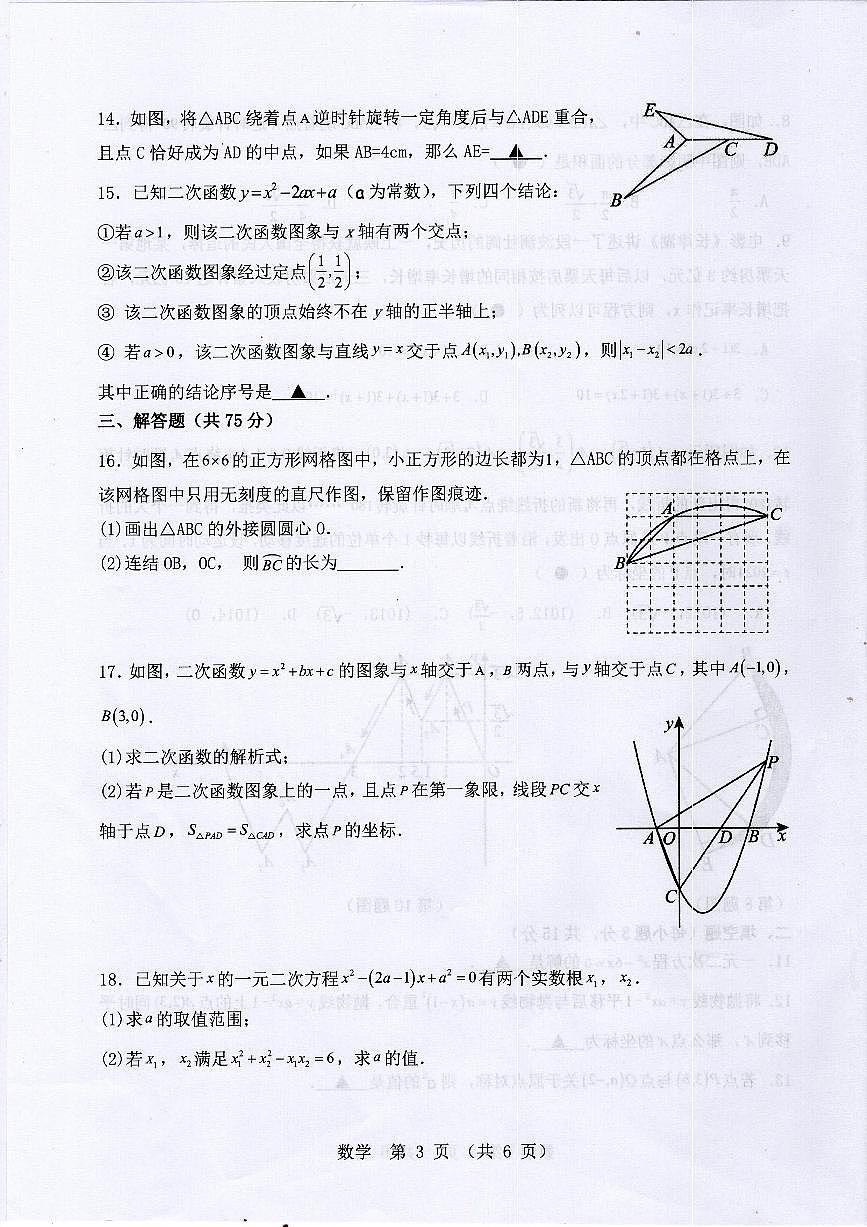 广东省湛江市廉江市2024-2025学年九年级上学期期末考试数学试题第3页