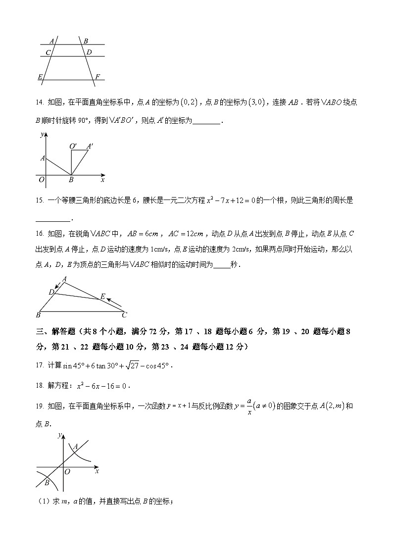 湖南株洲市渌口区2025-2026学年九年级上学期期末考试数学试题（试卷+解析）第3页