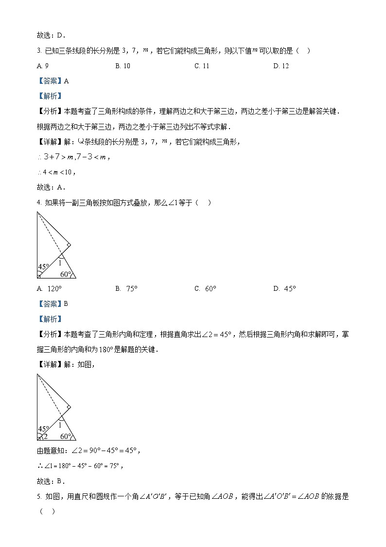广东省湛江市雷州市第八中学八年级上学期11月期中考试数学试题（解析版）-A4第2页