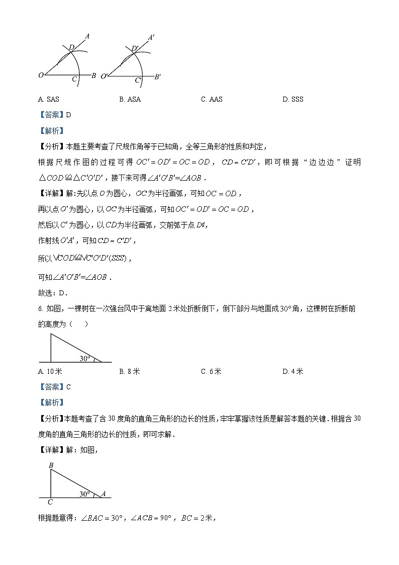 广东省湛江市雷州市第八中学八年级上学期11月期中考试数学试题（解析版）-A4第3页
