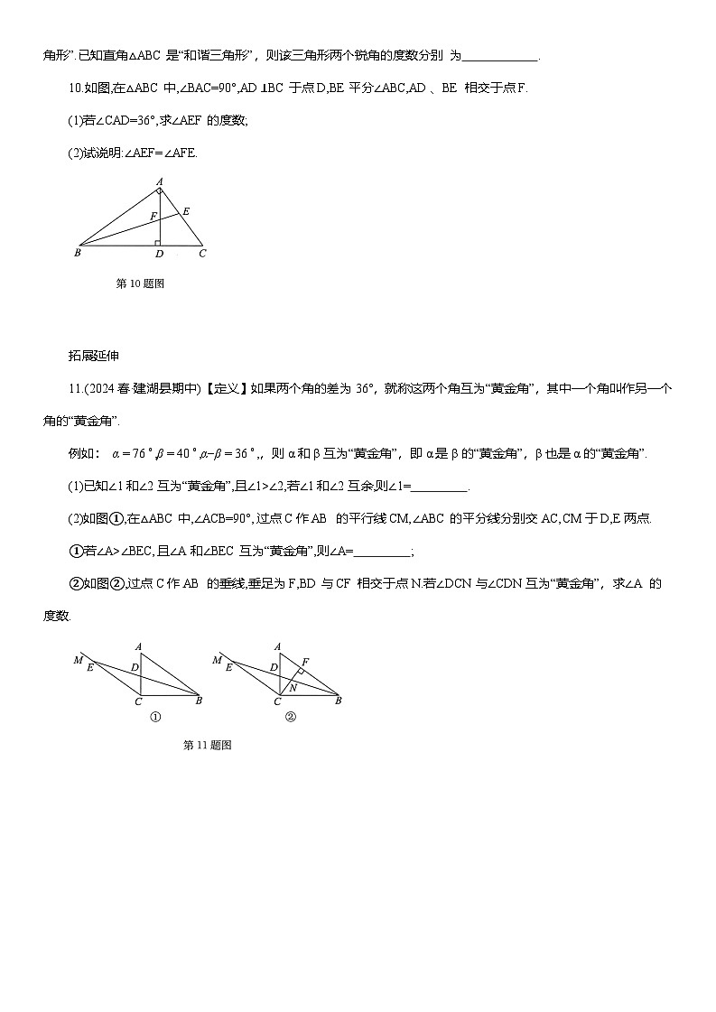 13.3.1 三角形的内角 (二) 课后同步作业 2025-2026学年人教版八年级数学上册（含答案）第2页