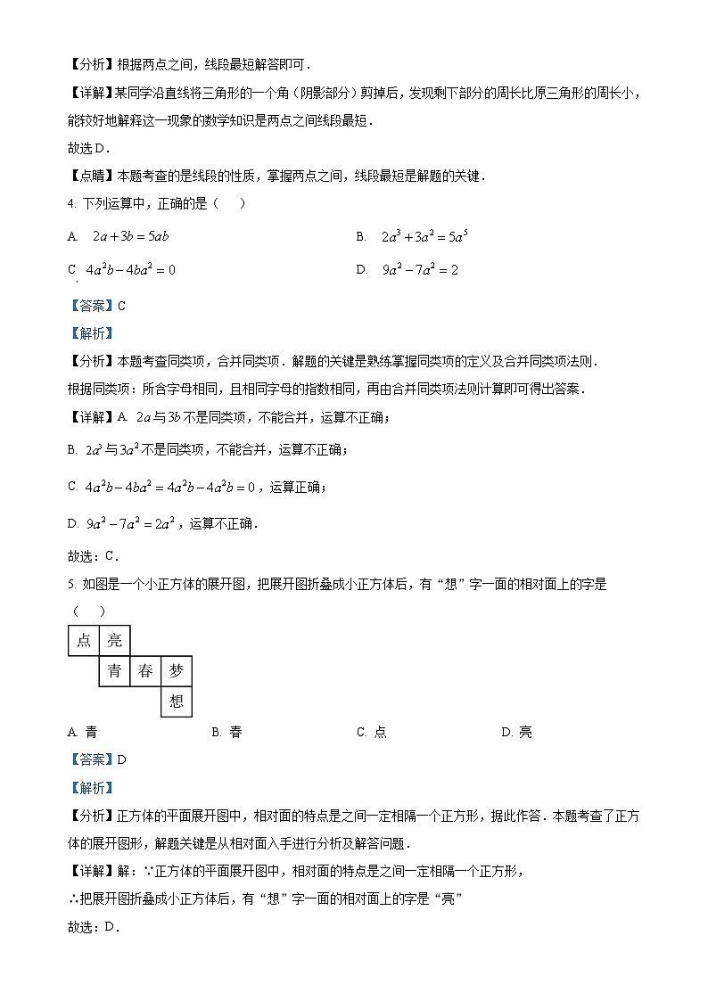 广东省湛江市徐闻县2024—2025学年上学期七年级上册数学期末教学质量监测卷 （解析版）-A4第2页