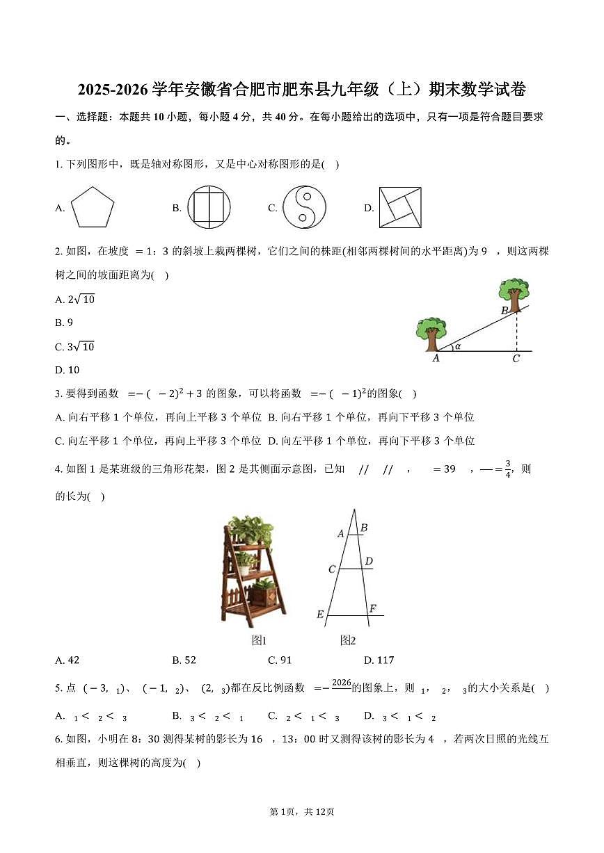 2025-2026学年安徽省合肥市肥东县九年级（上）期末数学试卷（含答案）第1页