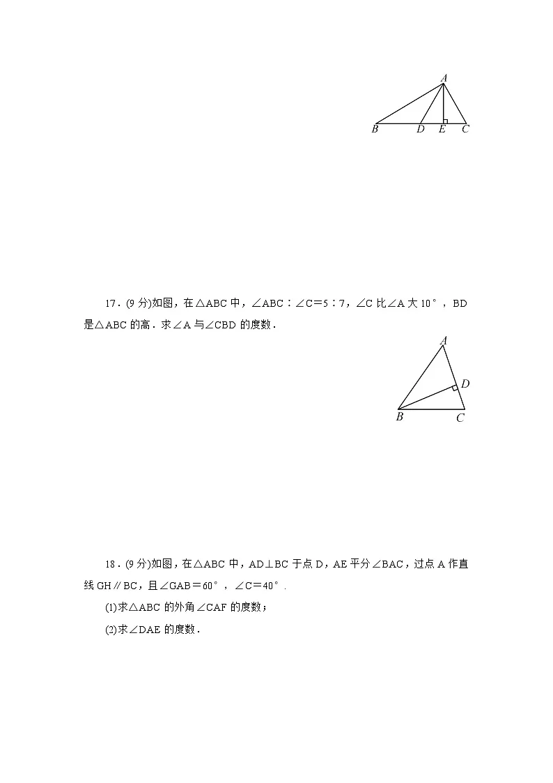第8章三角形单元检测题2025-2026学年华东师大版数学七年级下册（含答案）第3页