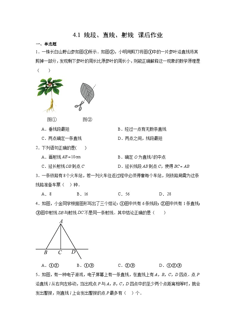 4.1线段、直线、射线（1） 课后作业 2025-2026学年北师版数学七年级上册第四章基本平面图形第1页